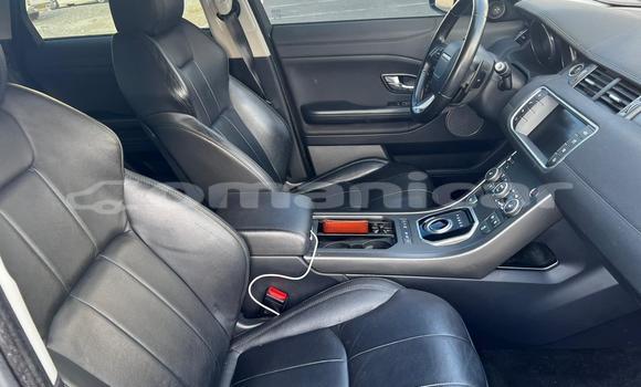 Buy Used Range Rover Evoque Other Car in Muscat in Masqat Buy Used Range Rover Evoque Other Car in Muscat in Masqat