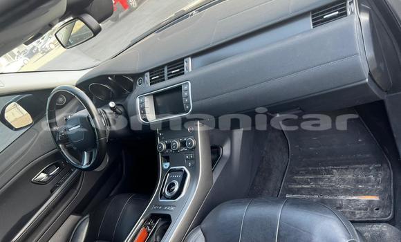 Buy Used Range Rover Evoque Other Car in Muscat in Masqat Buy Used Range Rover Evoque Other Car in Muscat in Masqat
