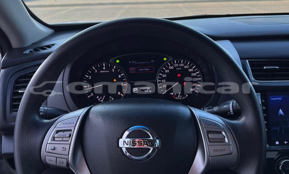 Buy Used Nissan Altima Silver Car in Al khuwair in al-Batinah Buy Used Nissan Altima Silver Car in Al khuwair in al-Batinah
