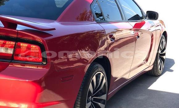 Buy Used Dodge Charger Red Car in Masqat in Masqat Buy Used Dodge Charger Red Car in Masqat in Masqat