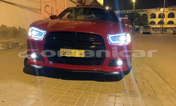 Buy Used Dodge Charger Red Car in Masqat in Masqat Buy Used Dodge Charger Red Car in Masqat in Masqat