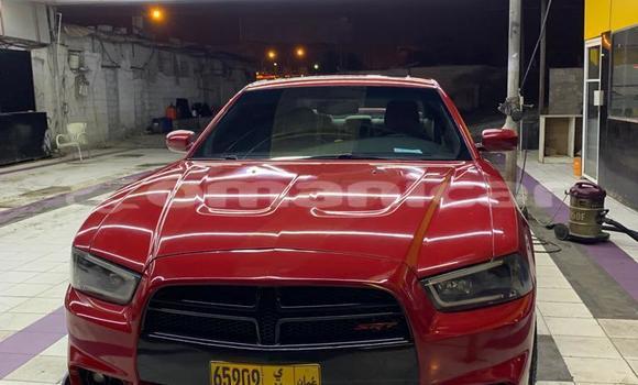 Buy Used Dodge Charger Red Car in Masqat in Masqat Buy Used Dodge Charger Red Car in Masqat in Masqat