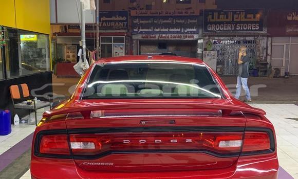 Buy Used Dodge Charger Red Car in Masqat in Masqat Buy Used Dodge Charger Red Car in Masqat in Masqat