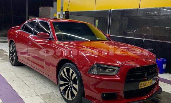 Buy Used Dodge Charger Red Car in Masqat in Masqat Buy Used Dodge Charger Red Car in Masqat in Masqat
