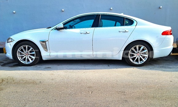 Buy Used Jaguar XF White Car in Wadi Al Kabir in Masqat