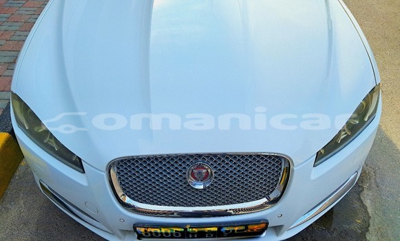 Buy Used Jaguar XF White Car in Wadi Al Kabir in Masqat Buy Used Jaguar XF White Car in Wadi Al Kabir in Masqat