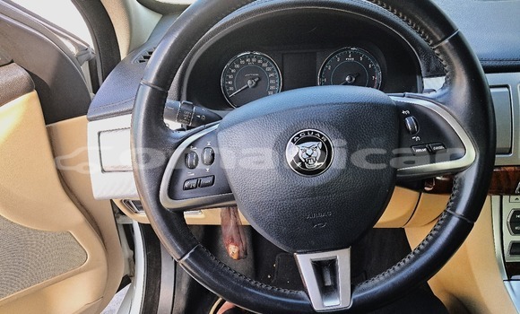 Buy Used Jaguar XF White Car in Wadi Al Kabir in Masqat Buy Used Jaguar XF White Car in Wadi Al Kabir in Masqat