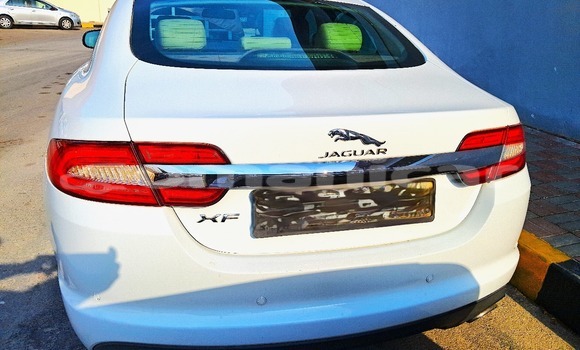 Buy Used Jaguar XF White Car in Wadi Al Kabir in Masqat Buy Used Jaguar XF White Car in Wadi Al Kabir in Masqat