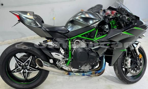 muscat New 2025 Kawasaki NINJA ZX6R KRT EDITION LIME GREEN AND