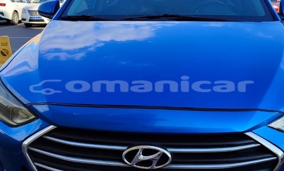 Buy Used Hyundai Elantra Blue Car in as–Sib in Masqat Buy Used Hyundai Elantra Blue Car in as–Sib in Masqat