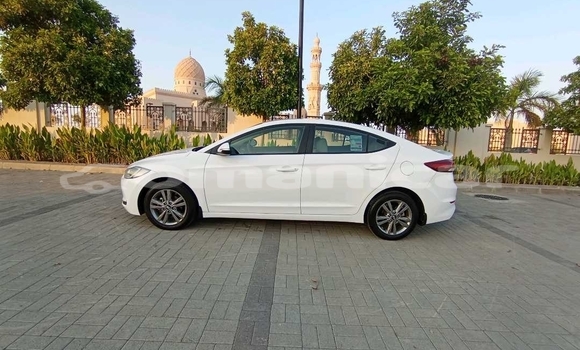 Buy Used Hyundai Elantra White Car in Muscat in Masqat Buy Used Hyundai Elantra White Car in Muscat in Masqat