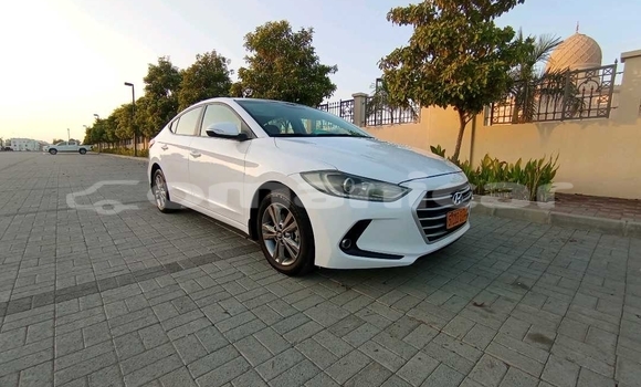 Buy Used Hyundai Elantra White Car in Muscat in Masqat Buy Used Hyundai Elantra White Car in Muscat in Masqat