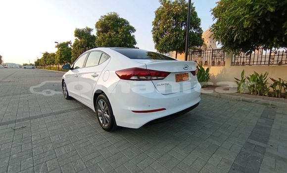 Buy Used Hyundai Elantra White Car in Muscat in Masqat Buy Used Hyundai Elantra White Car in Muscat in Masqat