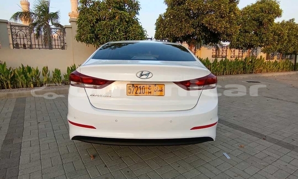 Buy Used Hyundai Elantra White Car in Muscat in Masqat Buy Used Hyundai Elantra White Car in Muscat in Masqat
