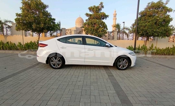 Buy Used Hyundai Elantra White Car in Muscat in Masqat Buy Used Hyundai Elantra White Car in Muscat in Masqat