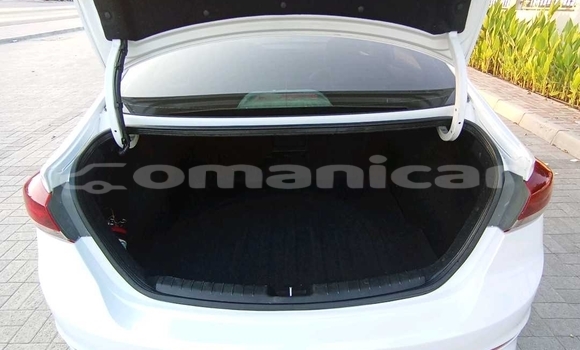 Buy Used Hyundai Elantra White Car in Muscat in Masqat Buy Used Hyundai Elantra White Car in Muscat in Masqat