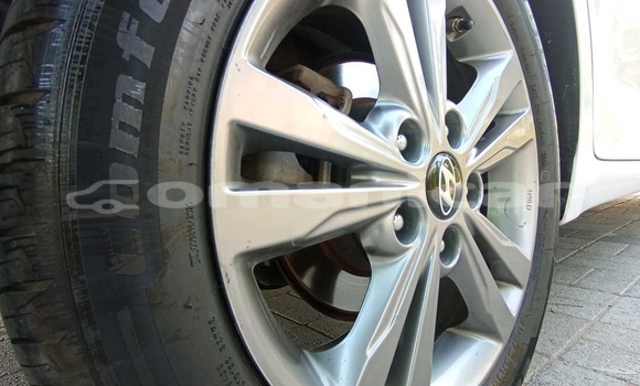 Buy Used Hyundai Elantra White Car in Muscat in Masqat Buy Used Hyundai Elantra White Car in Muscat in Masqat