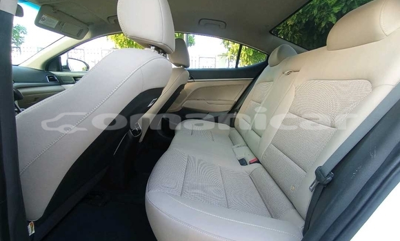 Buy Used Hyundai Elantra White Car in Muscat in Masqat Buy Used Hyundai Elantra White Car in Muscat in Masqat