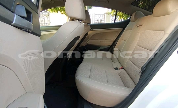 Buy Used Hyundai Elantra White Car in Muscat in Masqat Buy Used Hyundai Elantra White Car in Muscat in Masqat