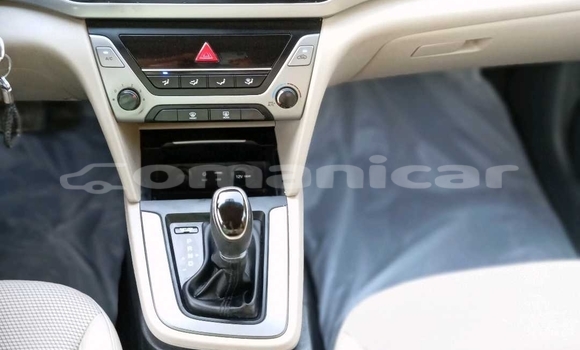 Buy Used Hyundai Elantra White Car in Muscat in Masqat Buy Used Hyundai Elantra White Car in Muscat in Masqat