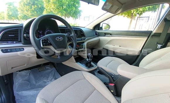 Buy Used Hyundai Elantra White Car in Muscat in Masqat Buy Used Hyundai Elantra White Car in Muscat in Masqat