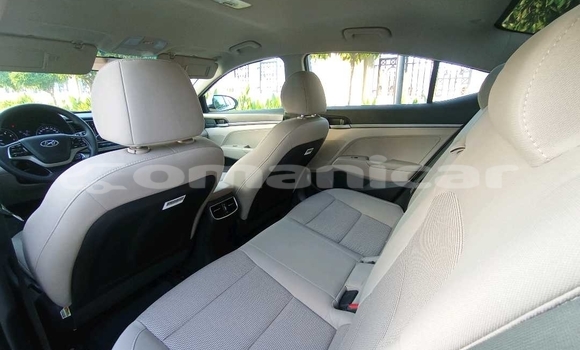 Buy Used Hyundai Elantra White Car in Muscat in Masqat Buy Used Hyundai Elantra White Car in Muscat in Masqat