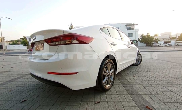Buy Used Hyundai Elantra White Car in Muscat in Masqat Buy Used Hyundai Elantra White Car in Muscat in Masqat