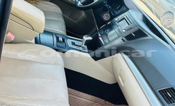 Buy Used Hyundai Elantra White Car in Muscat in Masqat Buy Used Hyundai Elantra White Car in Muscat in Masqat