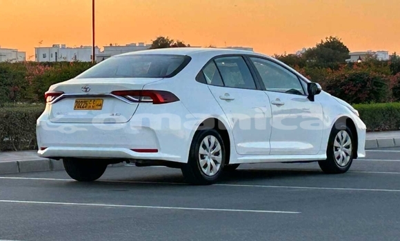 Buy Used Toyota Corolla White Car in Muscat in Masqat Buy Used Toyota Corolla White Car in Muscat in Masqat