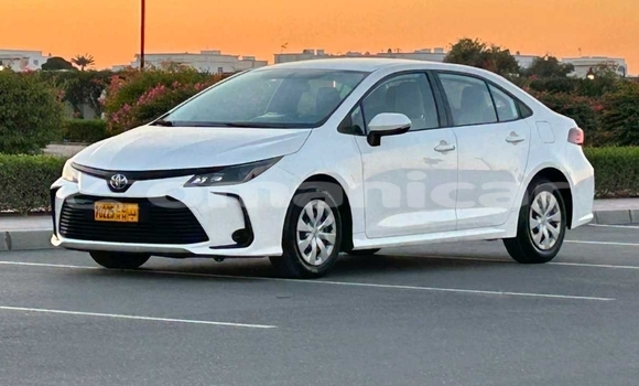 Buy Used Toyota Corolla White Car in Muscat in Masqat Buy Used Toyota Corolla White Car in Muscat in Masqat