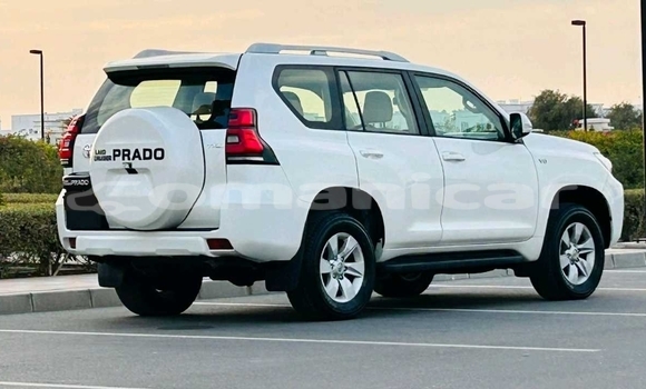 Buy Used Toyota Prado White Car in Muscat in Masqat Buy Used Toyota Prado White Car in Muscat in Masqat