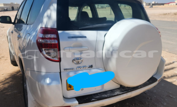 Buy Used Toyota RAV4 White Car in al–Mudaybi in ash-Sharqiyah Buy Used Toyota RAV4 White Car in al–Mudaybi in ash-Sharqiyah