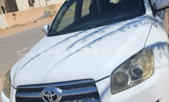 Buy Used Toyota RAV4 White Car in al–Mudaybi in ash-Sharqiyah Buy Used Toyota RAV4 White Car in al–Mudaybi in ash-Sharqiyah