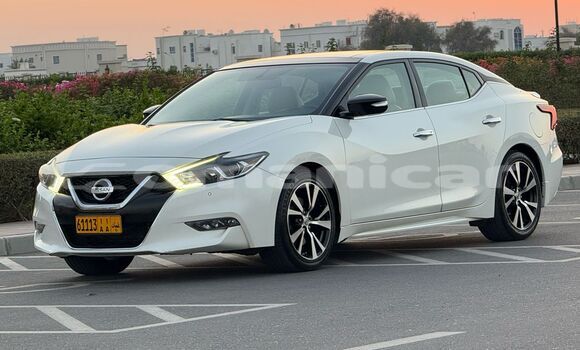 Buy Used Nissan Maxima White Car in Muscat in Masqat Buy Used Nissan Maxima White Car in Muscat in Masqat