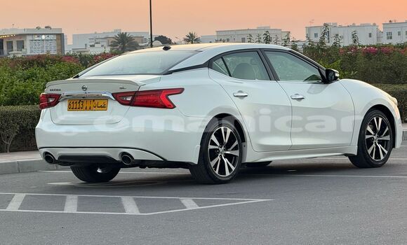 Buy Used Nissan Maxima White Car in Muscat in Masqat Buy Used Nissan Maxima White Car in Muscat in Masqat