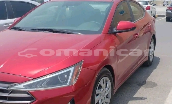 Buy Used Hyundai Elantra Red Car in as–Sib in Masqat Buy Used Hyundai Elantra Red Car in as–Sib in Masqat