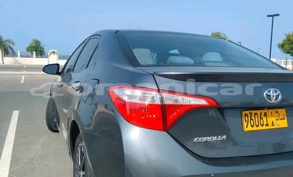 Buy Used Toyota Corolla Other Car in ar–Rustaq in al-Batinah Buy Used Toyota Corolla Other Car in ar–Rustaq in al-Batinah