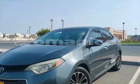 Buy Used Toyota Corolla Other Car in ar–Rustaq in al-Batinah Buy Used Toyota Corolla Other Car in ar–Rustaq in al-Batinah