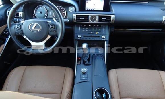 Buy Used Lexus IS White Car in Salalah in Dhufar Buy Used Lexus IS White Car in Salalah in Dhufar