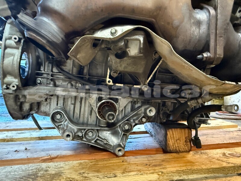 Big with watermark 8