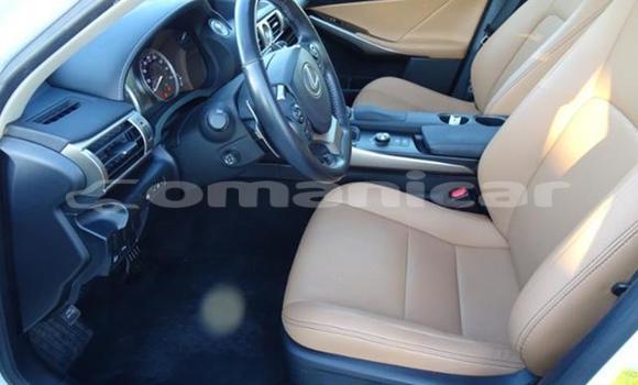 Buy Used Lexus IS White Car in Salalah in Dhufar Buy Used Lexus IS White Car in Salalah in Dhufar