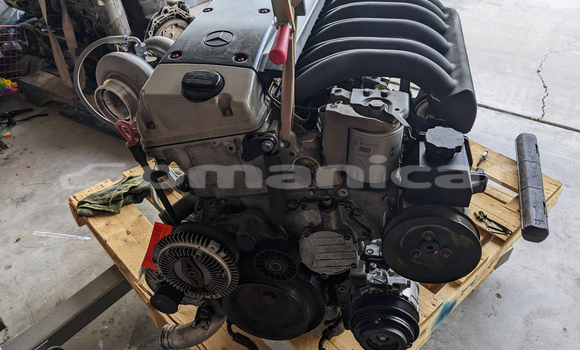 Medium with watermark a