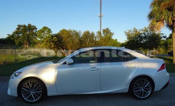 Buy Used Lexus IS White Car in Salalah in Dhufar Buy Used Lexus IS White Car in Salalah in Dhufar
