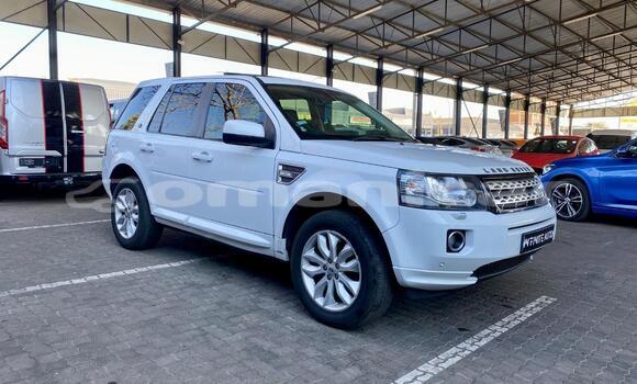 Buy Used Land Rover Freelander White Car in Muscat in Masqat