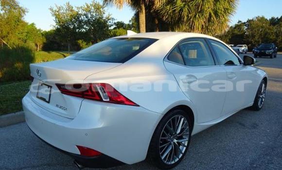 Buy Used Lexus IS White Car in Salalah in Dhufar Buy Used Lexus IS White Car in Salalah in Dhufar