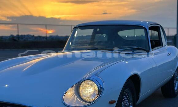Buy Used Jaguar E-type White Car in Masqat in Masqat