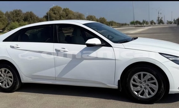 Buy Used Hyundai Elantra White Car in Azaiba in Masqat Buy Used Hyundai Elantra White Car in Azaiba in Masqat