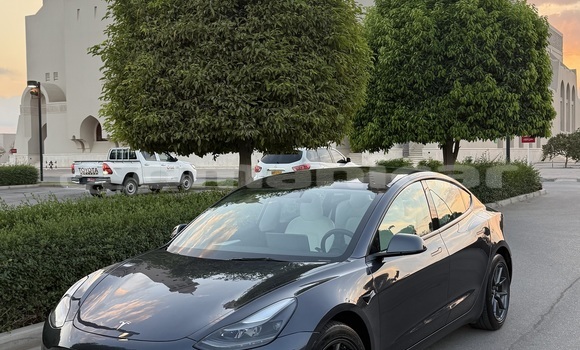 Buy Used Tesla Model 3 Other Car in Muscat in Masqat