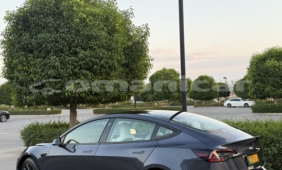 Buy Used Tesla Model 3 Other Car in Muscat in Masqat Buy Used Tesla Model 3 Other Car in Muscat in Masqat