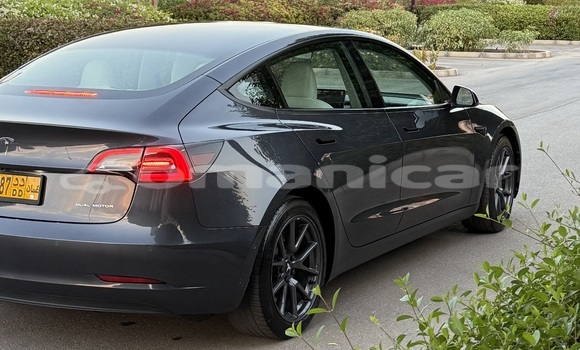 Buy Used Tesla Model 3 Other Car in Muscat in Masqat Buy Used Tesla Model 3 Other Car in Muscat in Masqat